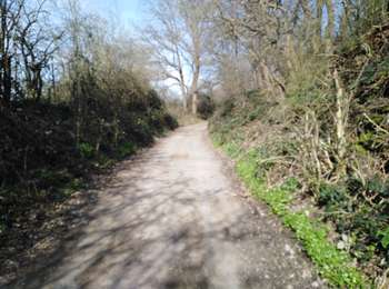 Tocht Stappen Dalhem - dalhem 4 - Photo