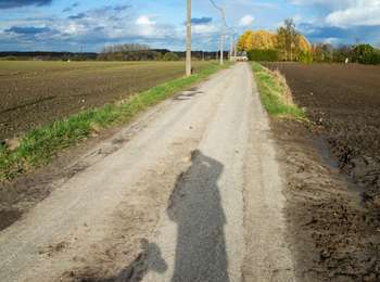 Trail Walking Morlanwelz - Morlanwelz - Bellecourt (10km) - Photo