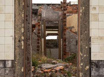 Tocht Te voet Ribeirinha - Ribeirinha - Photo