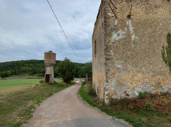 Trail Walking Rosoy - 220913 Rosoy 9,3 km - Photo