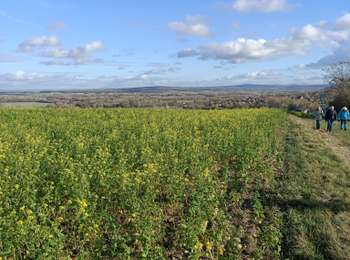 Trail Walking Bassou - Boucle à Bassou - Photo