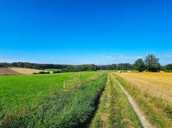 Tour Wandern Onhaye - Balade de Sommière à Weillen - Photo