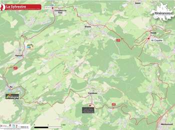 Trail Walking Ferrières - 2024-04-30_17h49m21_La-Sylvestre-2 - Photo