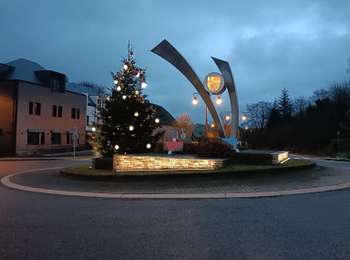Trail Walking Büllingen - Bullange vers lac de Butenbach  - Photo