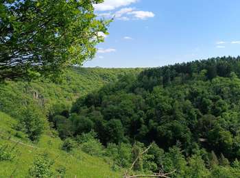 Trail Walking Ferrières - Promenade des cretes - Photo