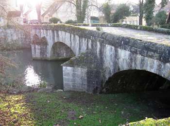Tour Zu Fuß Moret-Loing-et-Orvanne - Entre Loing et Orvanne - Photo