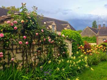 Trail Walking Nailly - Boucle 25 km autour de Nailly  - Photo