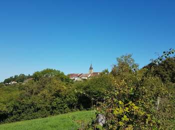 Trail Walking Bornay - Bornais-Vernantois-Montaigu - Photo