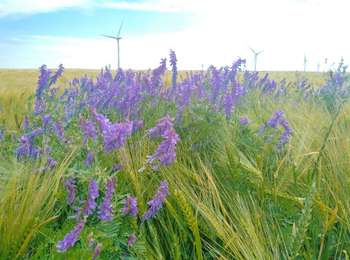 Trail Electric bike Venoy - jussy 31052022 - Photo