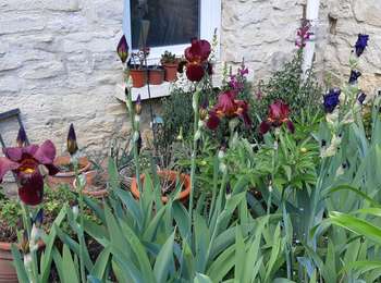 Randonnée Marche Jambville - jambville - Photo