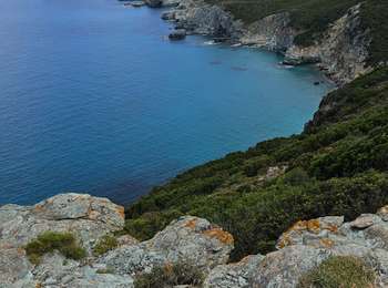 Trail Walking Ersa - cap corse - Photo