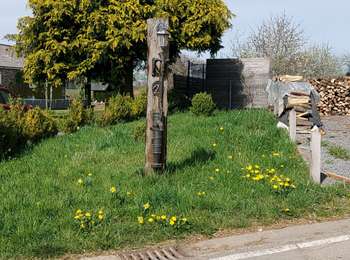Tour Wandern Bièvre - Graide 190422  - Photo