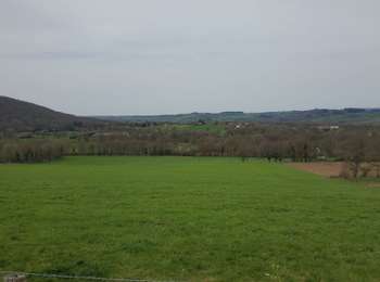Percorso Marcia Charbonnières-les-Vieilles - tazenat - Photo