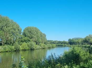 Percorso Bicicletta elettrica Gand - Vlaamse Ardennen - Photo