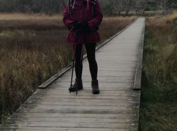 Tocht Stappen Bénodet - benodet - Photo