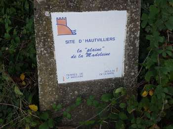 Percorso Marcia Chevreuse - Yvelines_Circuit_Chevreuse - Port-Royal-Des-Champs_par chemin Jean-Racine - Photo
