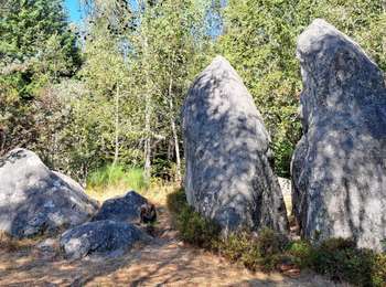 Percorso Marcia Fournols - AUVERGNE 2023 Fournols - Les 2 frères  - Photo