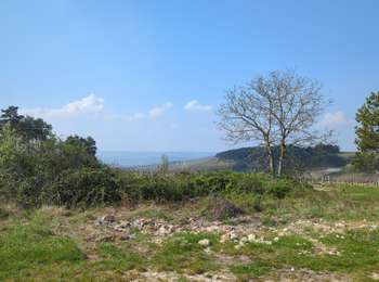 Trail Horseback riding Irancy - Irancy 14km - Photo