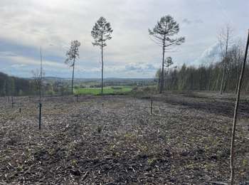 Trail Walking Ath - Assoumont-Warloche-Longbonne-Hurtebize-Asdoumont - Photo