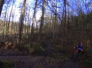 Tocht Mountainbike Villers-la-Ville - Chastre_20220130_083910 - Photo