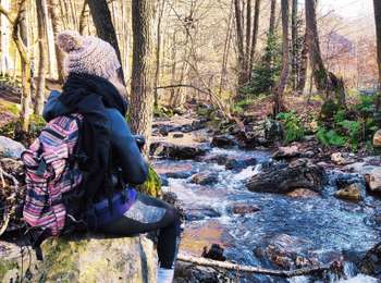 Percorso Marcia Jalhay - Légendes et forêt enchantée à Solwaster. (Promenade 57)  - Photo