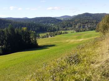 Trail Walking Entre-deux-Monts - entre-deux monts bis - Photo