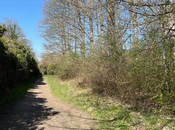 Randonnée Marche Modave - Modave ( Autour du château) - Photo