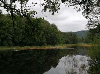 Trail Walking Mélisey - Melisey Marchettes - Photo