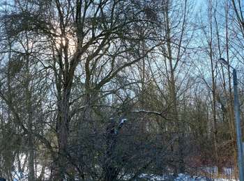 Trail Walking Fleurus - forêt des loisirs Fleurus - Photo