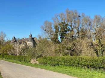 Trail Walking Braives - Fallais - Fumal - Huccorgne - Photo