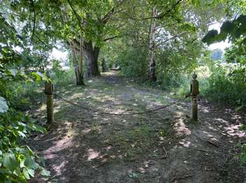 Trail Walking Frameries - SARS les Bruyère 17 km - Photo