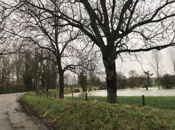 Trail On foot Port-Lesney - Chemin des Gabelous - Photo