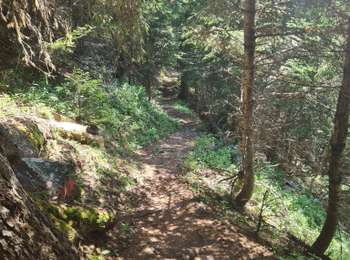 Percorso Marcia Pralognan-la-Vanoise - Pralognan 2025-07-13 Col de Napremont - Photo
