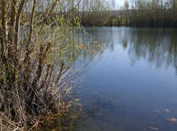 Trail Walking Champigny - 31 mars 2021  - Photo
