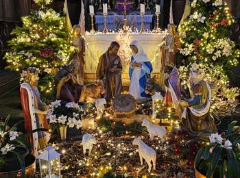 Tour Wandern Anhée - Balade à Sosoye 5,5km - Photo