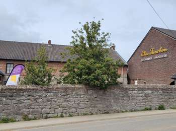 Tour Reiten Sombreffe - Balade à cheval à Ligny - Photo