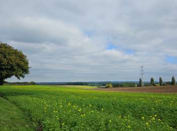 Randonnée Marche Beekdaelen - A la découverte de Hulsberg 🥾 - Photo