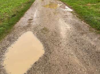 Trail Walking Gerpinnes - Randonnée Gerpinnes Gougnies Fromiée  - Photo