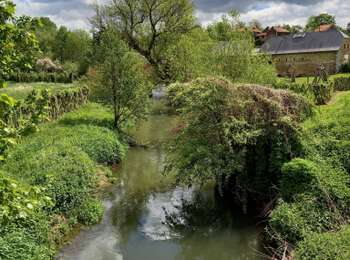 Trail Walking Braives - Fallais - Photo