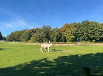 Tocht Stappen Mont-Saint-Guibert - Mont St Guibert - Photo