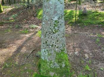 Excursión Bici eléctrica Châlonvillars - VTT - Châlonvillars - Etobon - Ronchamp - Plancher-Bas - Malsaucy - Photo