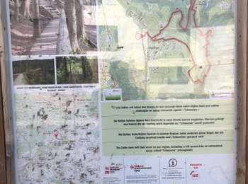 Percorso Marcia Malmedy - 20210420 - Xhoffray 7.4 Km - Photo