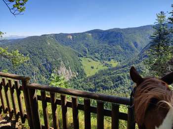 Trail Horseback riding Giron - 202205 rallye Ain J2 Giron-Lelex - Photo