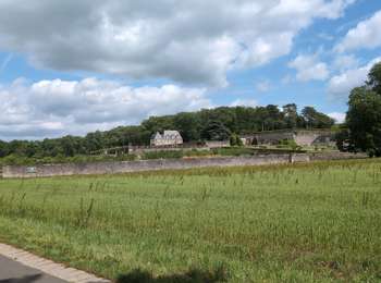 Tour Hybrid-Bike Tours - Tours - Rochecorbon Vouvray Vernou-sur-Brenne Chançay Reugny - AR - 50.8km 330m 4h50 - 2026 05 13 - Photo