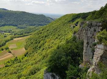 Trail Walking Arbois - Roche du Feu Arbois - Photo