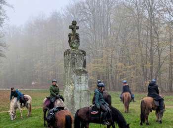 Tour Reiten Sucht - suuntoapp-HorsebackRiding-2024-11-09T08-23-34Z - Photo