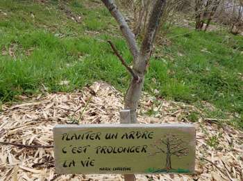 Trail Walking Vielsalm - 2023-04-02_15h38m24_Cirkwi-Vielsalm___Pays_du_bois,_de_la_pierre_de_l_eau - Photo