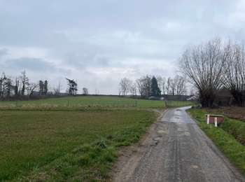 Trail Walking Binche - 35.906 Buvrinnes - Cour de Badi - Photo