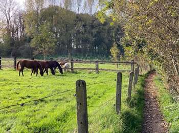 Randonnée Marche Asse - Asse 10,7 km - Photo