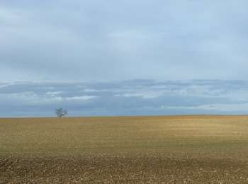 Tocht Stappen Tervuren - Vossem Duisburg - Photo
